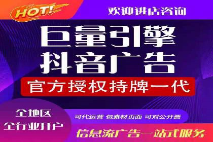 成功案例分享：SEM推广策略的制定与执行